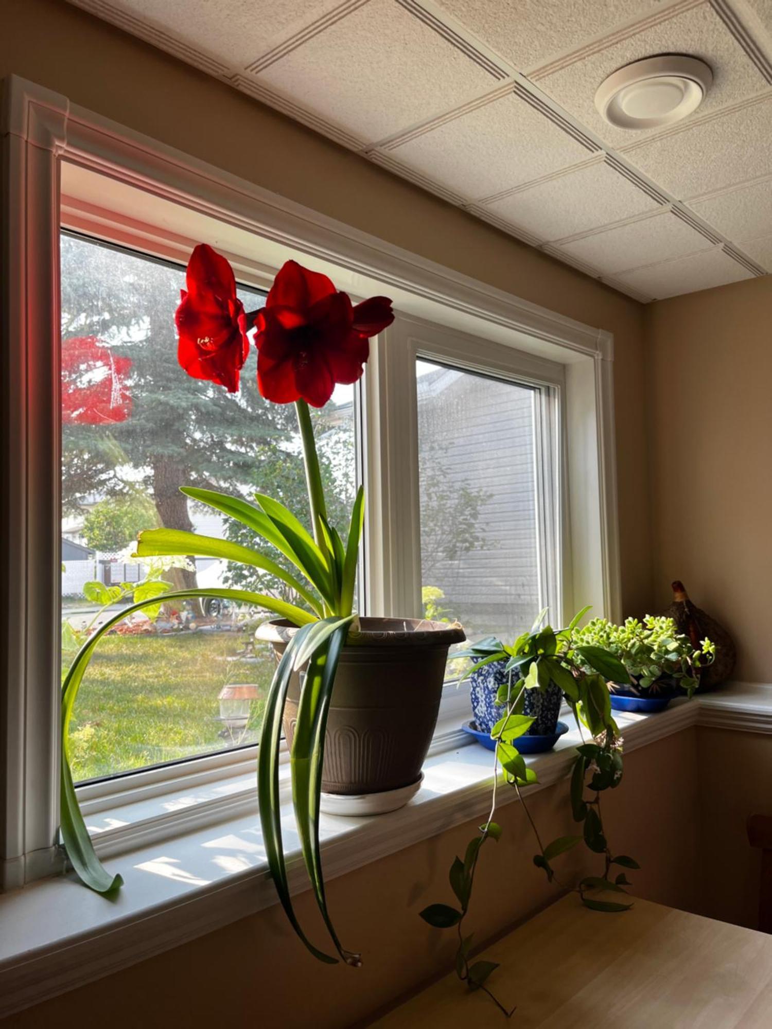 Citadel Hills Valley YYC المظهر الخارجي الصورة